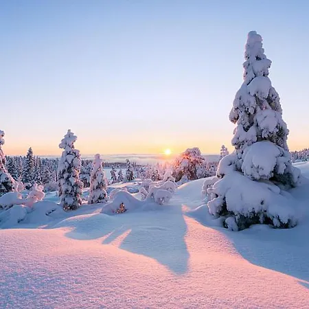 Panorama 호텔 Wenigzell