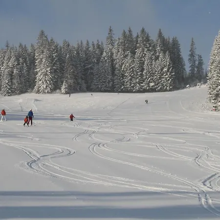 Panorama 호텔 Wenigzell