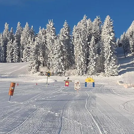 Panorama 호텔 Wenigzell