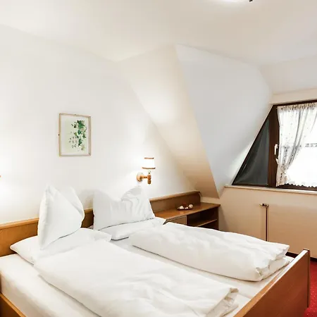 호텔 Panorama Wenigzell