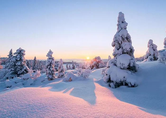 Panorama Hotel Wenigzell