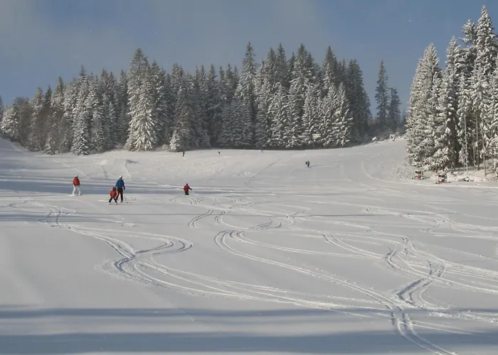 Panorama 酒店 Wenigzell