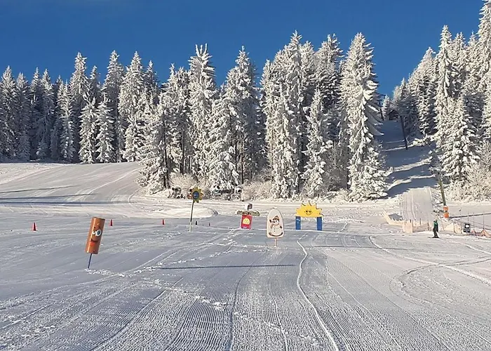 Panorama 酒店 Wenigzell